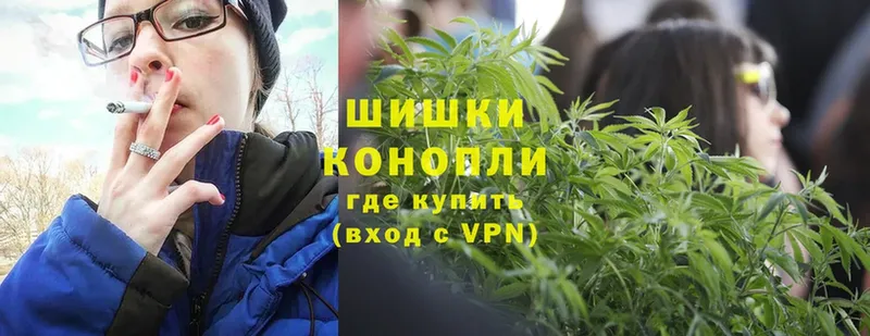 где купить   Гатчина  Конопля THC 21% 